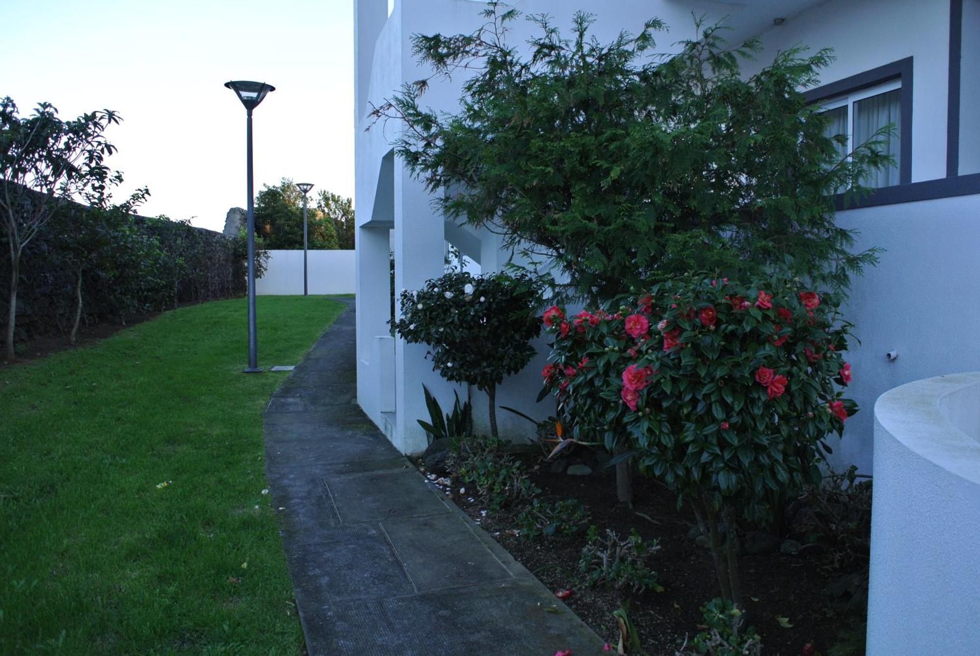Casa Simba , Where The Fun Begins Ponta Delgada Exteriör bild